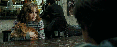 la-teoria-que-conecta-a-hermione-con-los-padres-de-harry-potter {keyword}