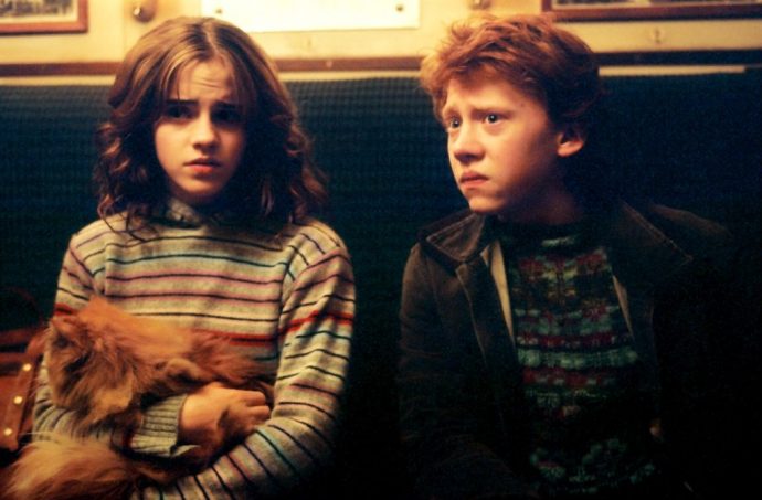 la-teoria-que-conecta-a-hermione-con-los-padres-de-harry-potter {keyword}