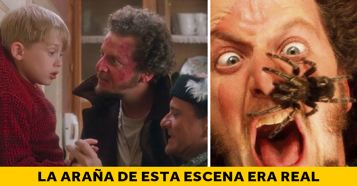 Que Peliculas Hacen Hoy En Tv